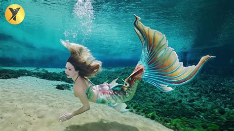 Immerse yourself in a world of magic and adventure with these mermaid videos! Explore the mysteries of the sea and subscribe to our YouTube Channel for more ...